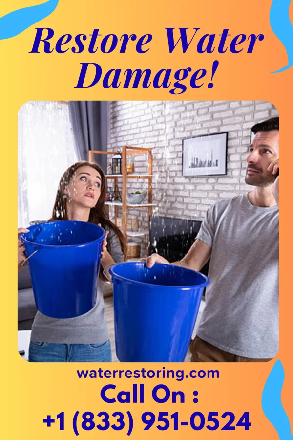 water restoration Vigilant Water Repair Masters Eden Prairie