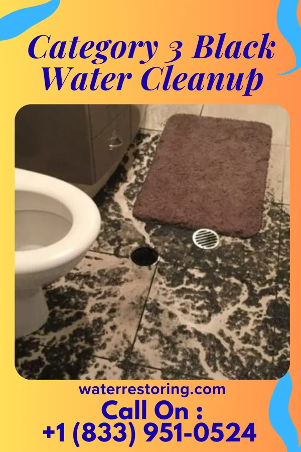 Category 3 Black Water Cleanup in Eden Prairie, MN