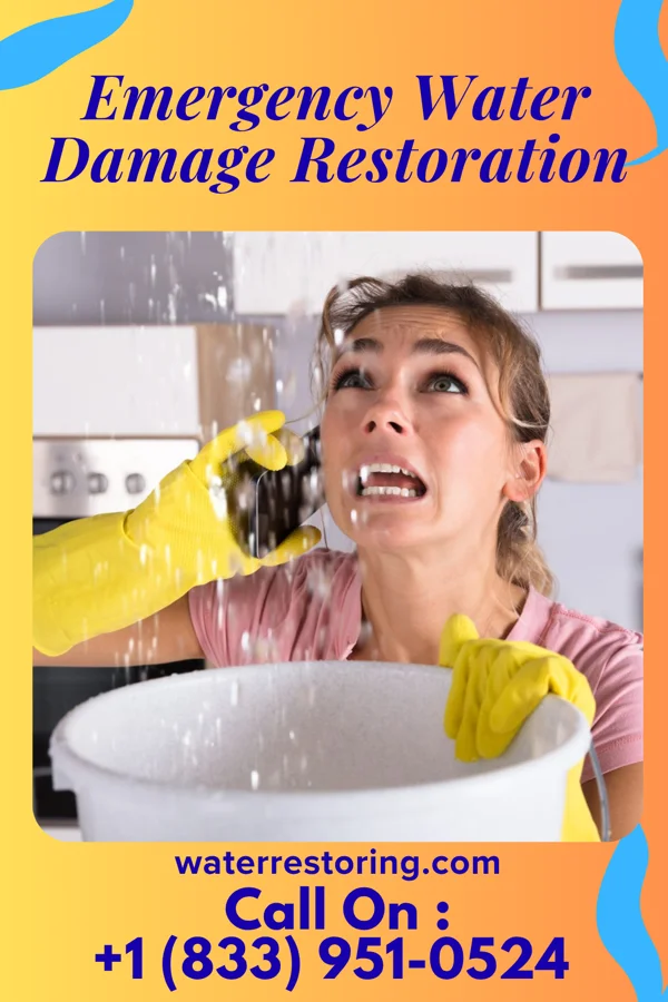 Emergency Water Damage Restoration in Eden Prairie, MN