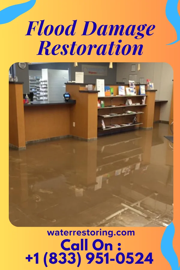 Flood Damage Restoration in Eden Prairie, MN