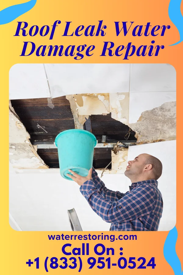 Roof Leak Water Damage Repair in Eden Prairie, MN