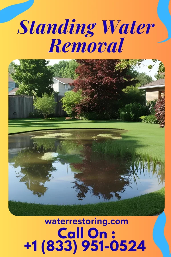Standing Water Removal in Eden Prairie, MN